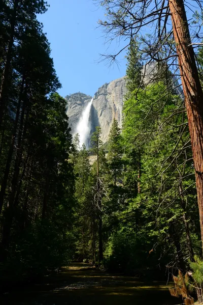 DSC_2387 (Large).JPG